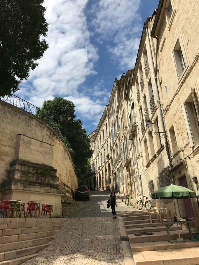 Superbe ! Appart T2 - Centre Historique & Tram - Situation Ideale Apartment Montpellier Exterior photo
